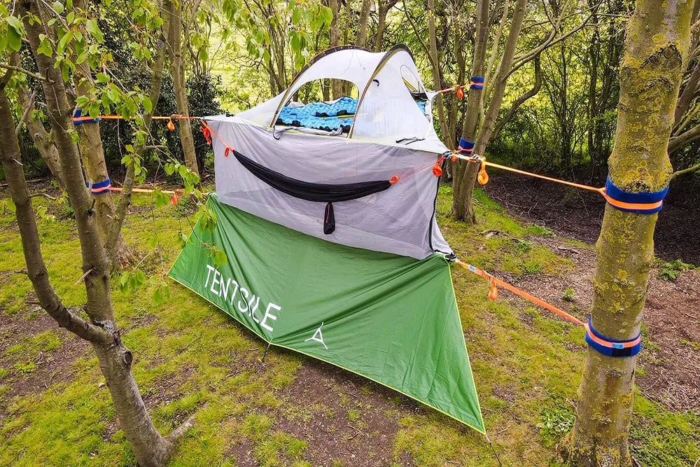 Two tree tents pitched low among birch and pine in daylight, the ground open between the trunks.