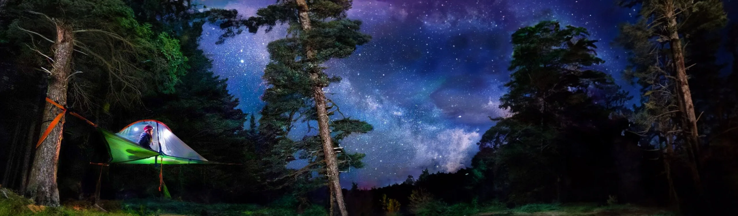 A tree tent hung between pines at night, glowing green beneath a star field.