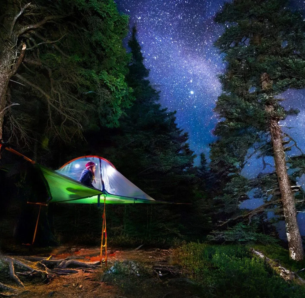 A tree tent suspended among pines and lit from within, with the Milky Way overhead and snow-free ground below it.