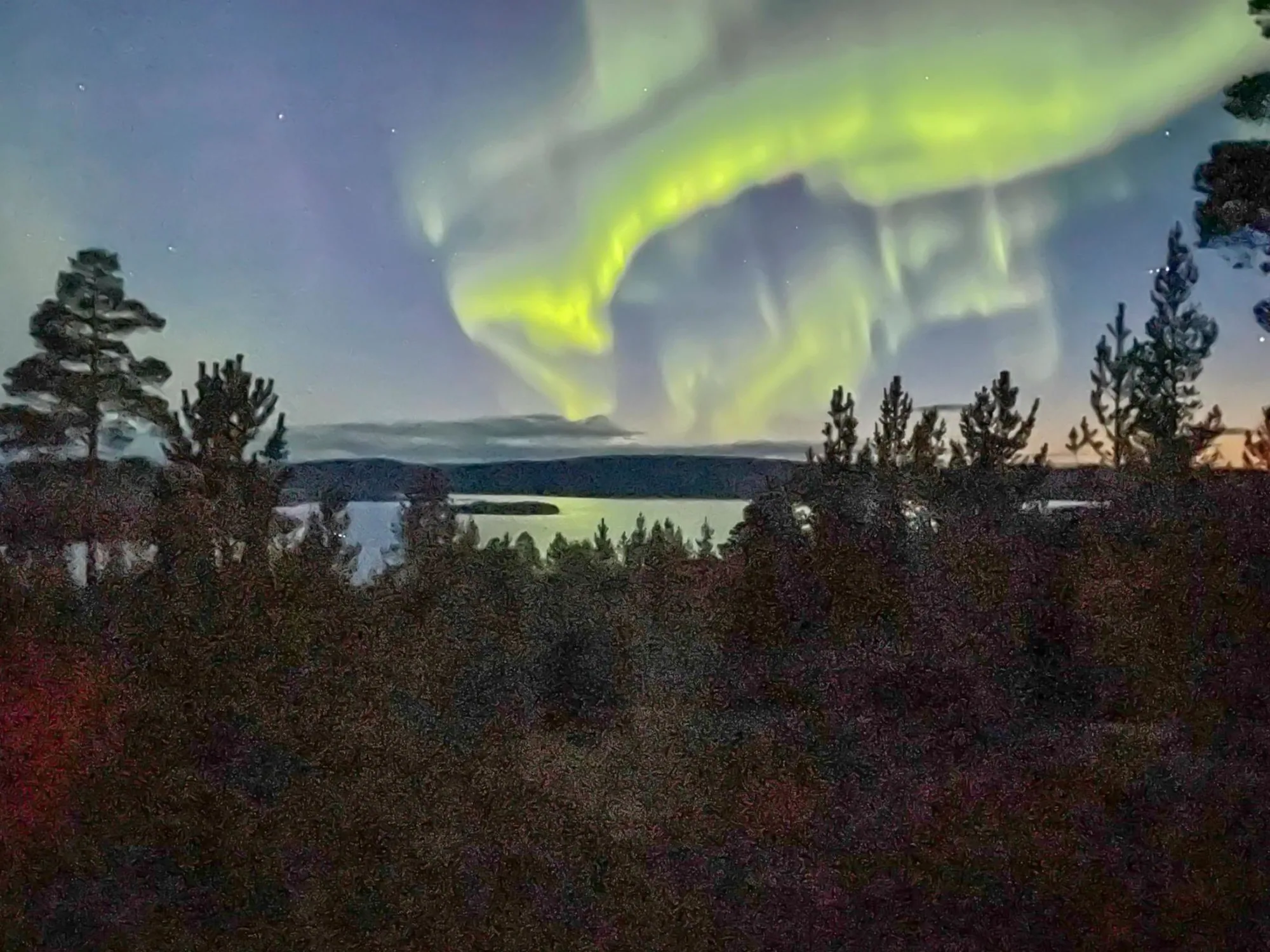 Green and white aurora over a dark treeline and open water at night, with a low sunset glow still on the horizon.