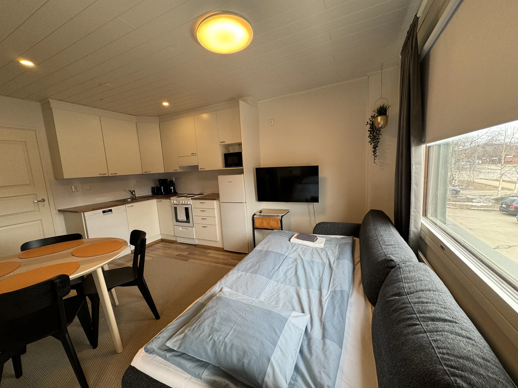 The living room of Fox's Nest with the sofa bed along the wall.