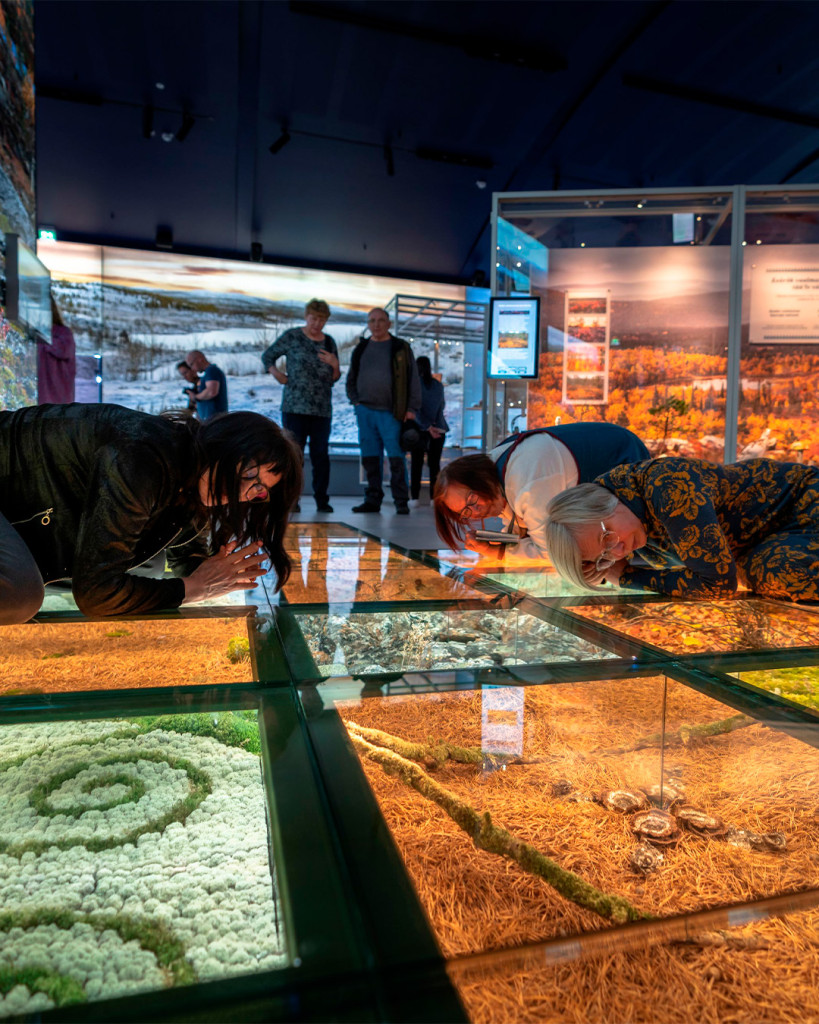 Photo: Sámi Museum Siida
