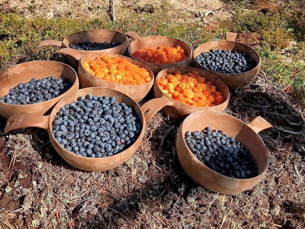 Wild Food & Foraging Day with Open Fire Lunch