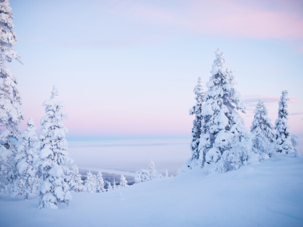 Discover Saariselkä: Tundra trek, Lunch & Sauna