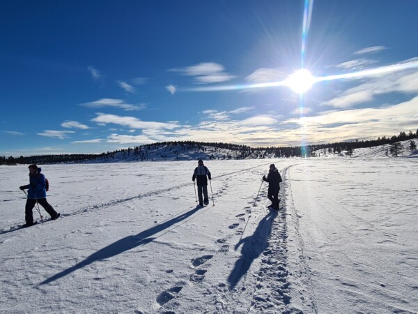 Backcountry Ski Tour
