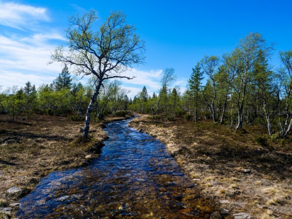 eFatbiking in Saariselkä