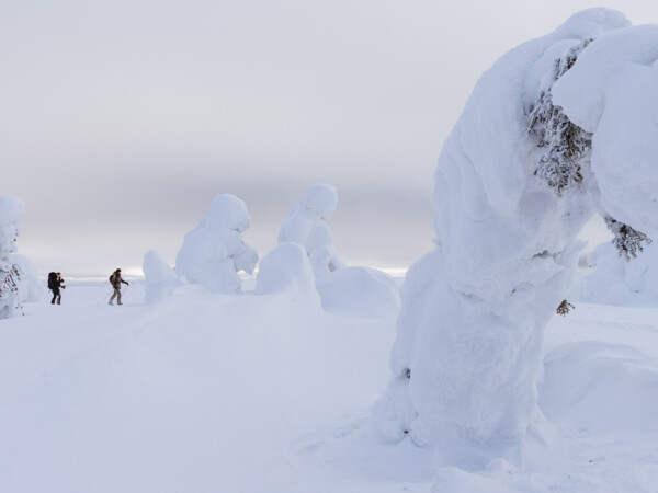 Ski Expedition to UKK National Park