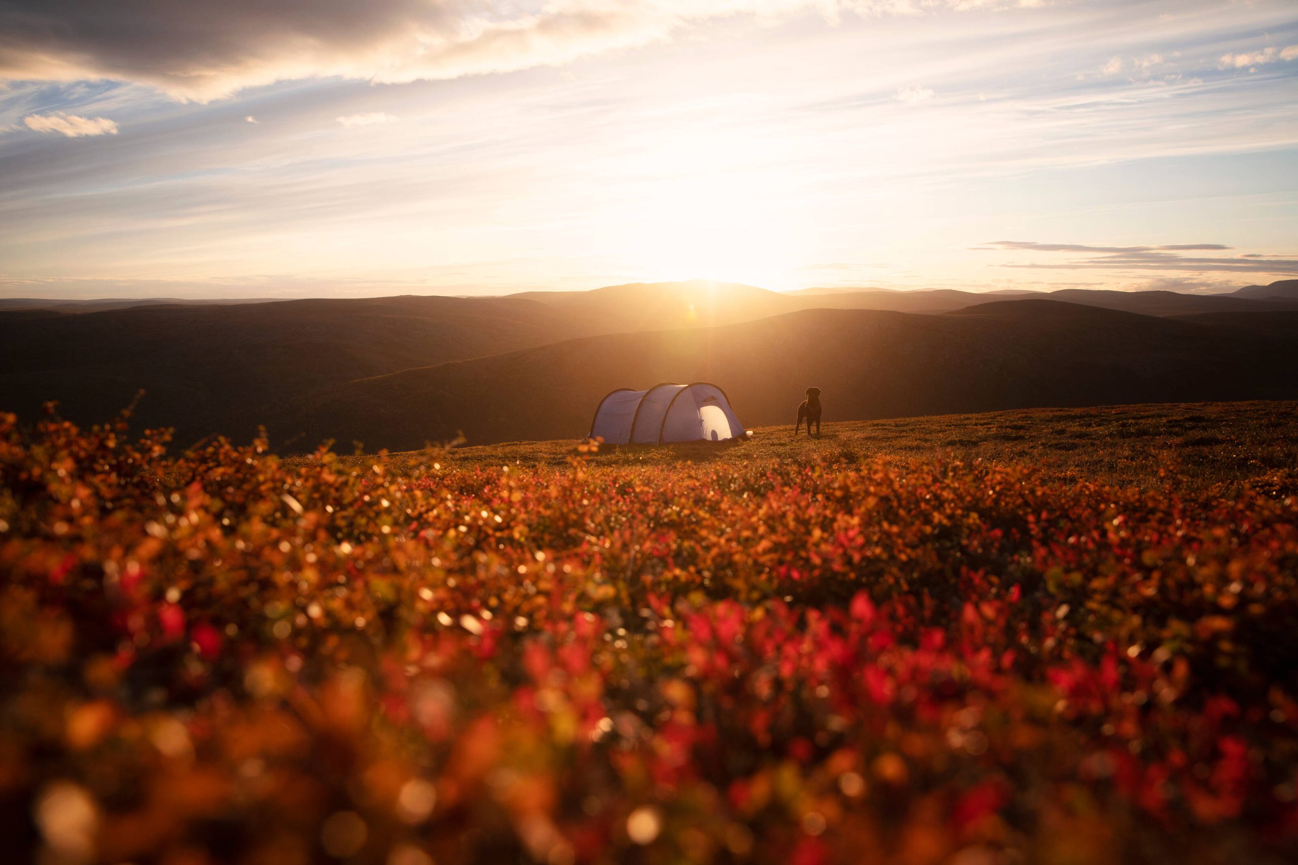 Finland_Lapland_4E5A6800