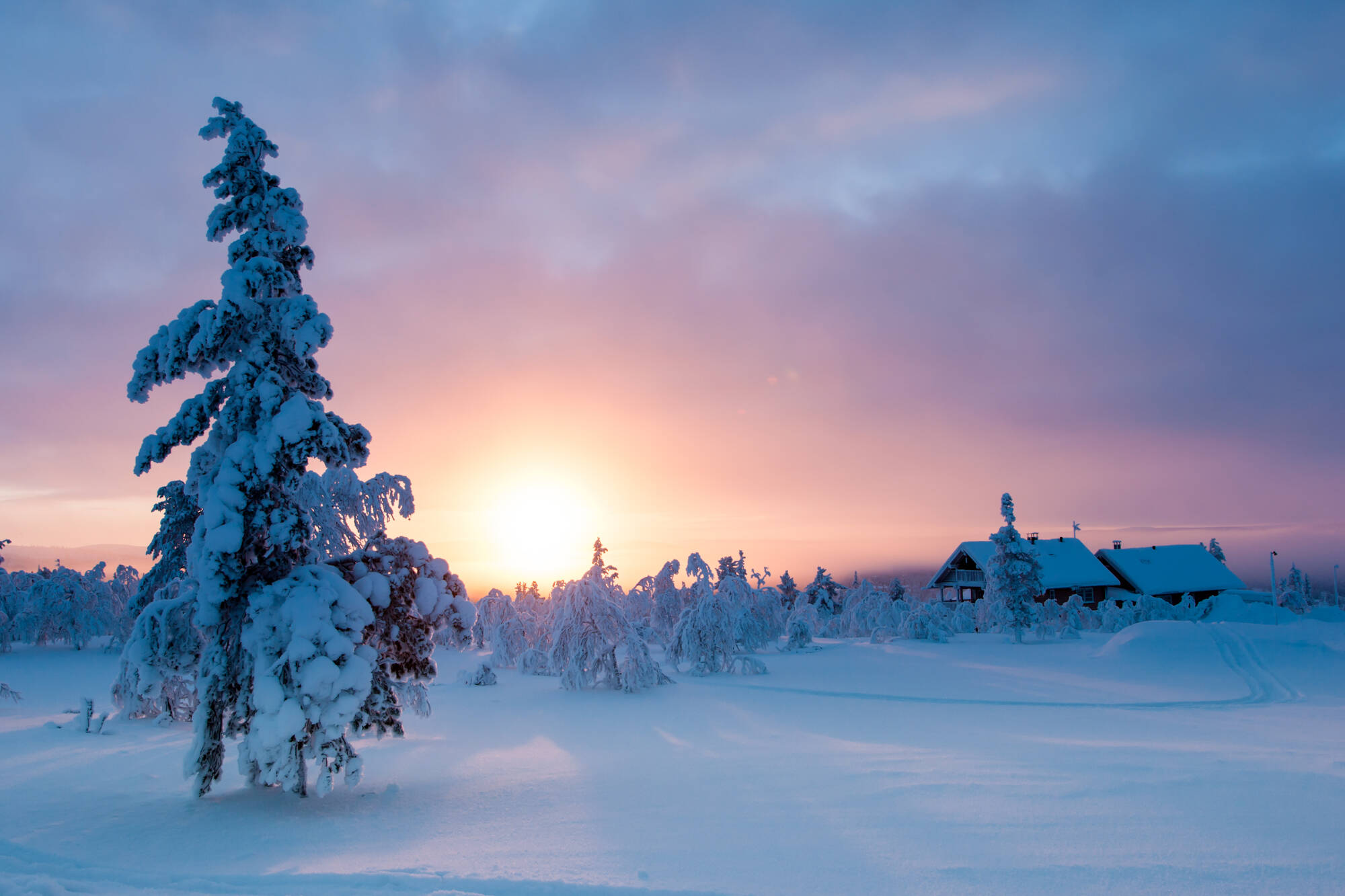Lapland-5
