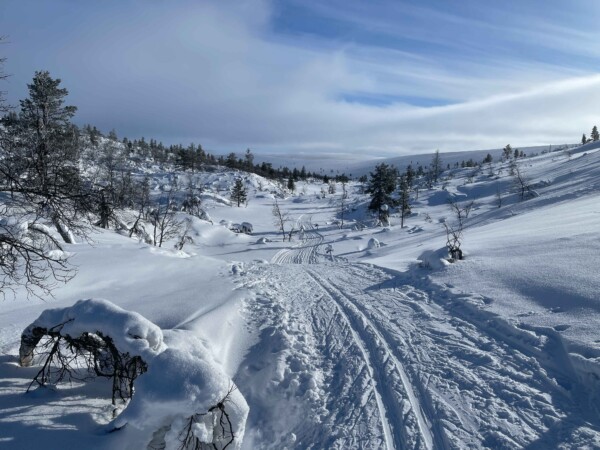Nordic Backcountry Ski Tour