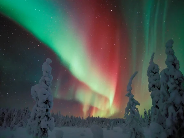 Polar Night Snowshoe Trek
