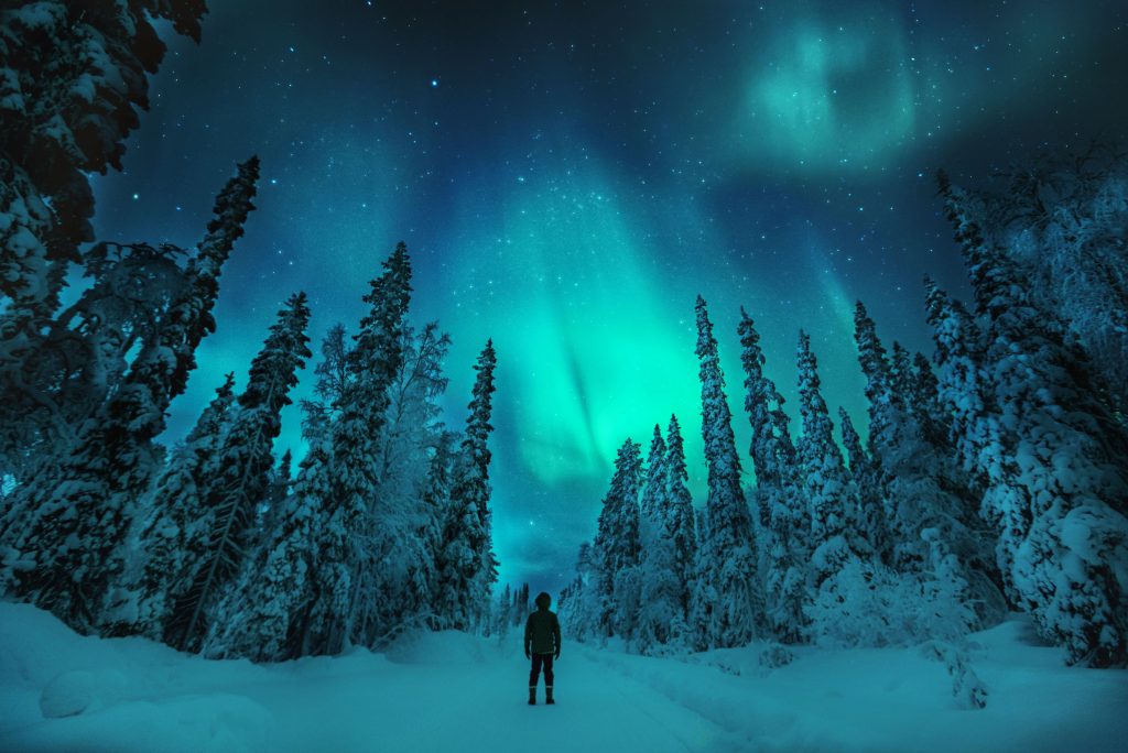 Northern Lights aurora borealis over snow-covered boreal forest in Rovaniemi Finland