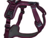 Non-stop-dogwear-Ramble-Harness&#8212;Purple