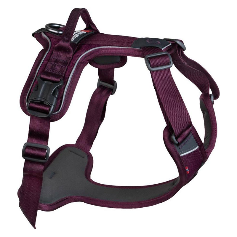 Non-stop-dogwear-Ramble-Harness—Purple