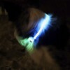 nitehowl_disco2
