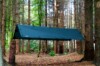 DD_TARP_SG-2